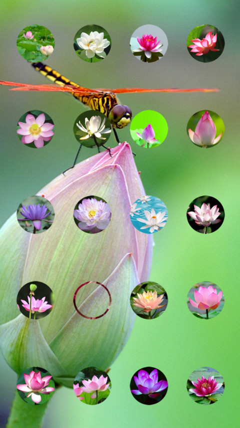 莲花净 screenshot