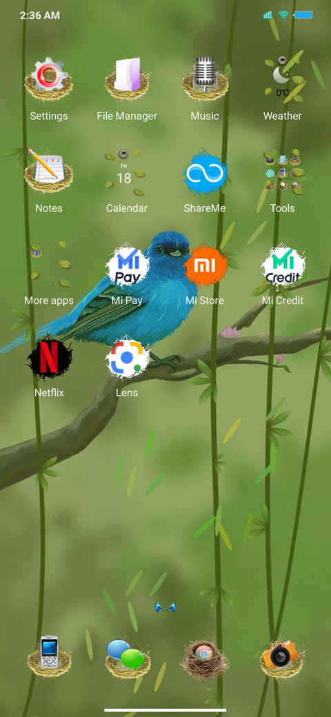 Bird's Nest screenshot