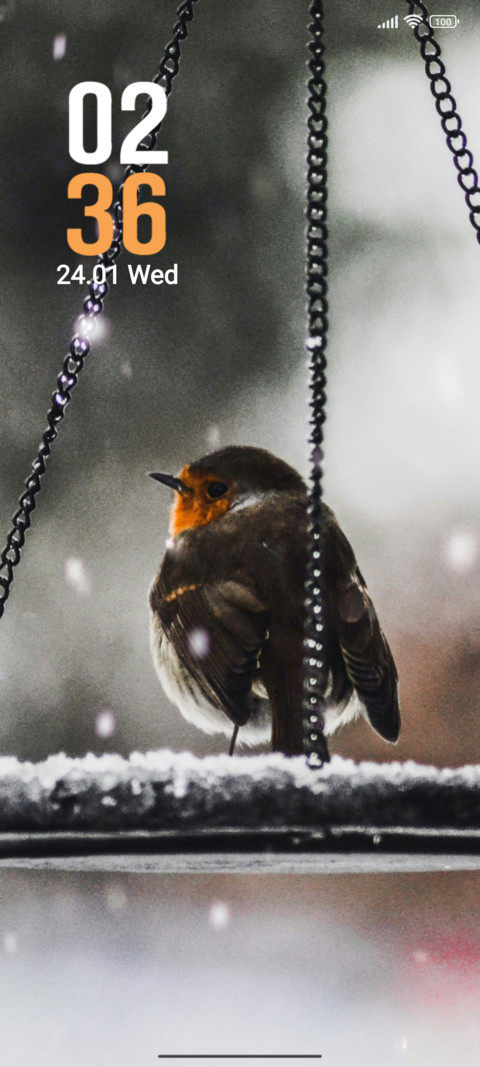 Winter bird screenshot