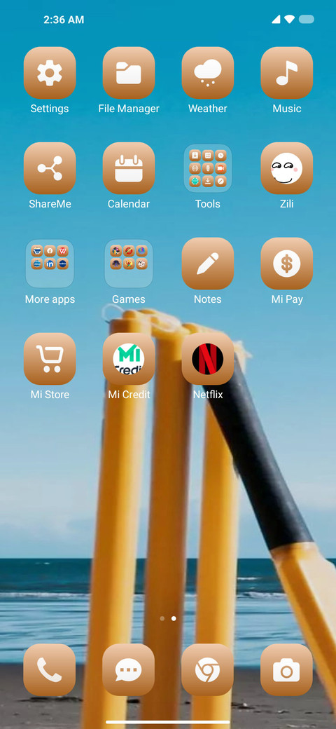 DRS Cricket screenshot