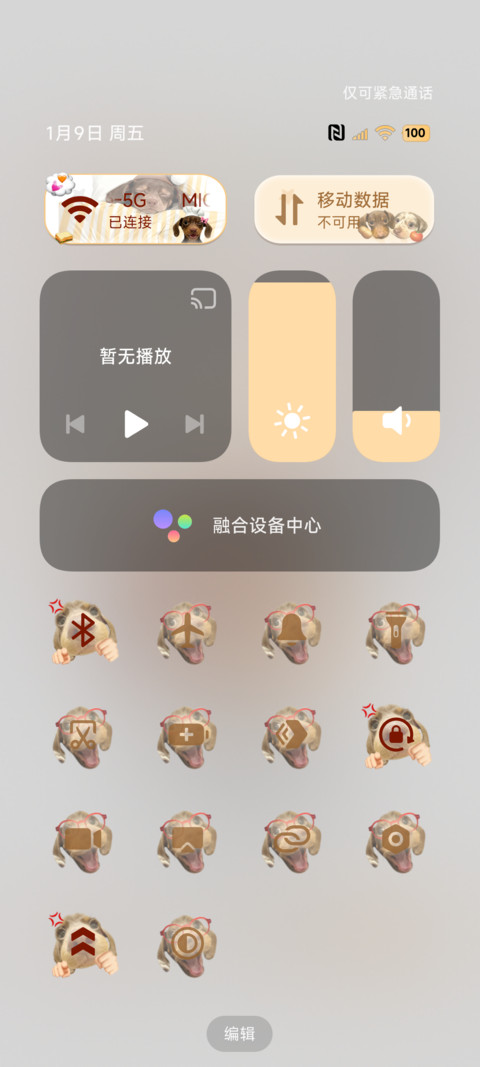 搞怪腊肠小狗 多图 screenshot