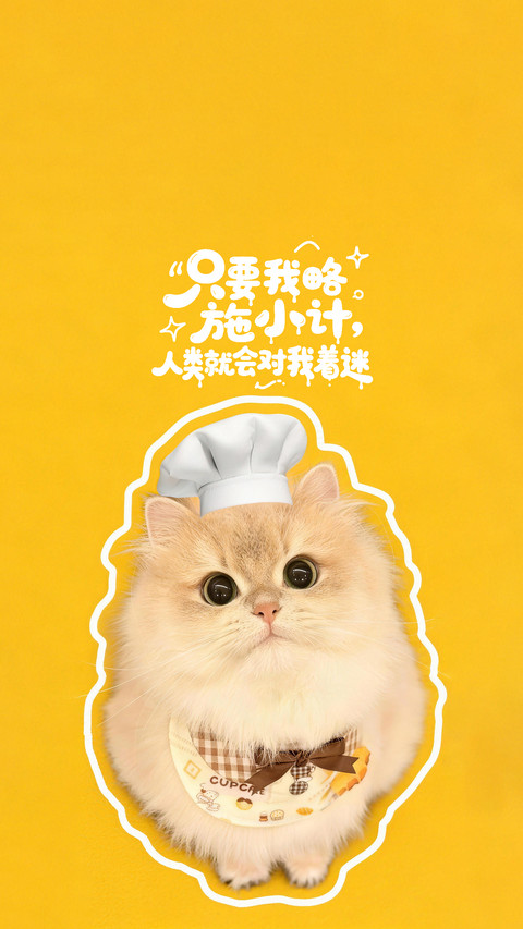 如何养出粘人小猫 screenshot