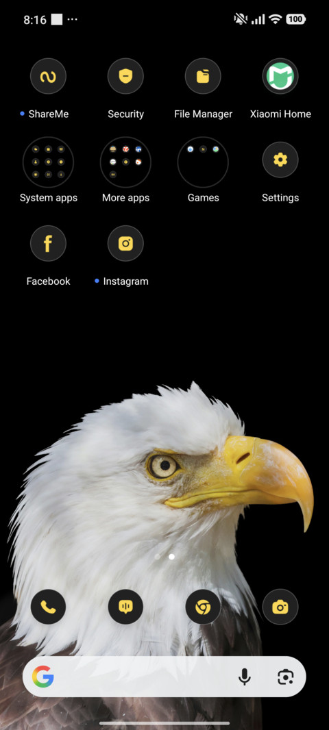 Eagle Watch screenshot