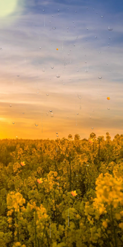 Autumn V10 screenshot