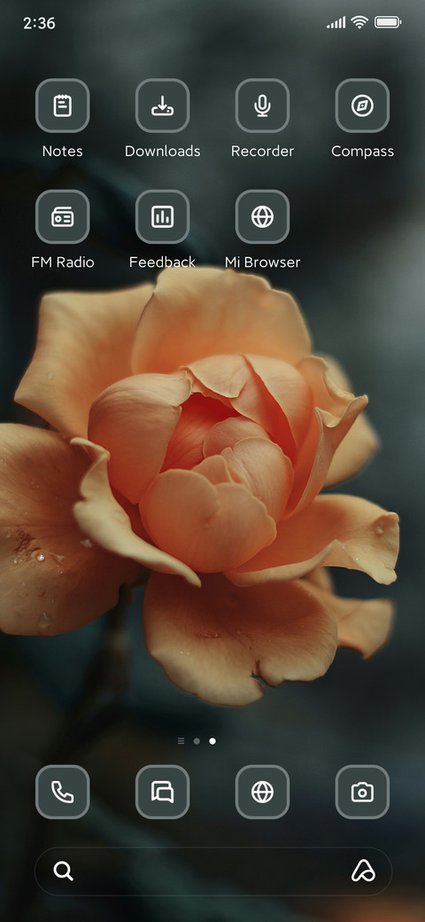 Orange Petaled screenshot