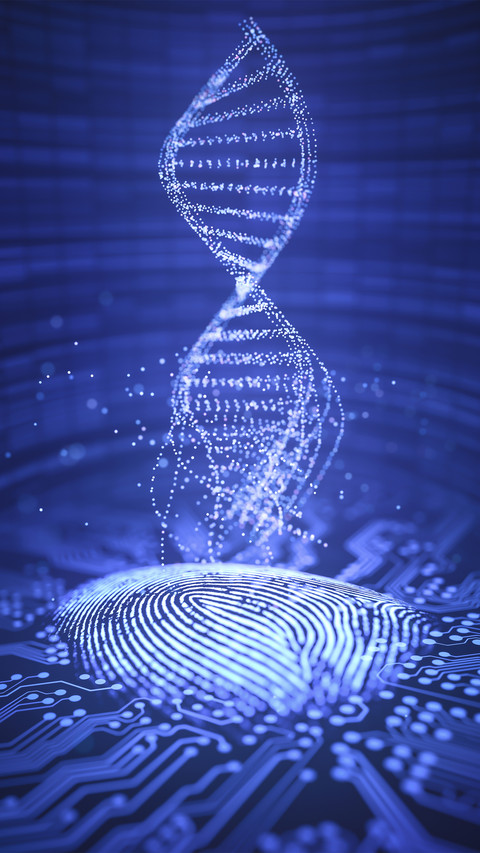 DNA structure 58 screenshot