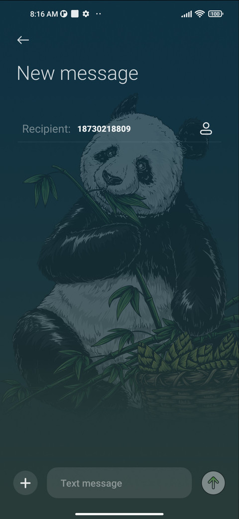 Panda screenshot