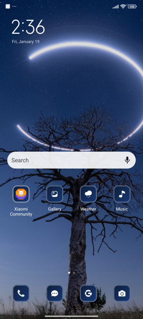 Dry Tree screenshot