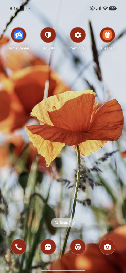 Red Poppies screenshot