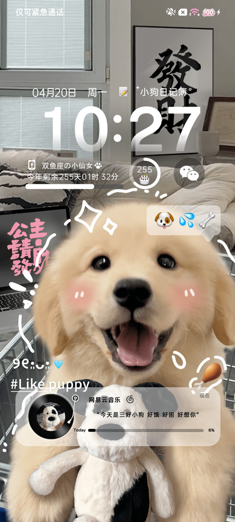 治愈发财金毛 screenshot