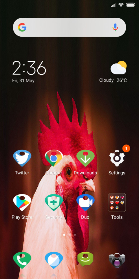 Chicken_DWM19 screenshot