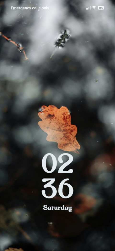 Orange Leaf screenshot