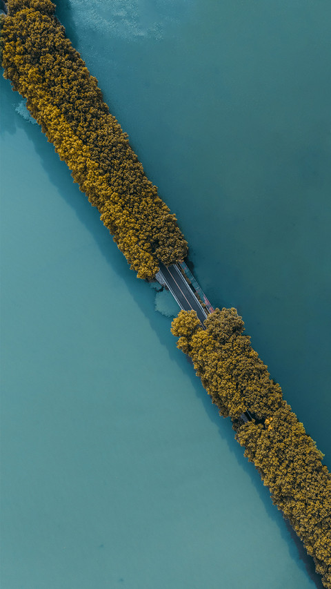 武汉东湖绝景 screenshot
