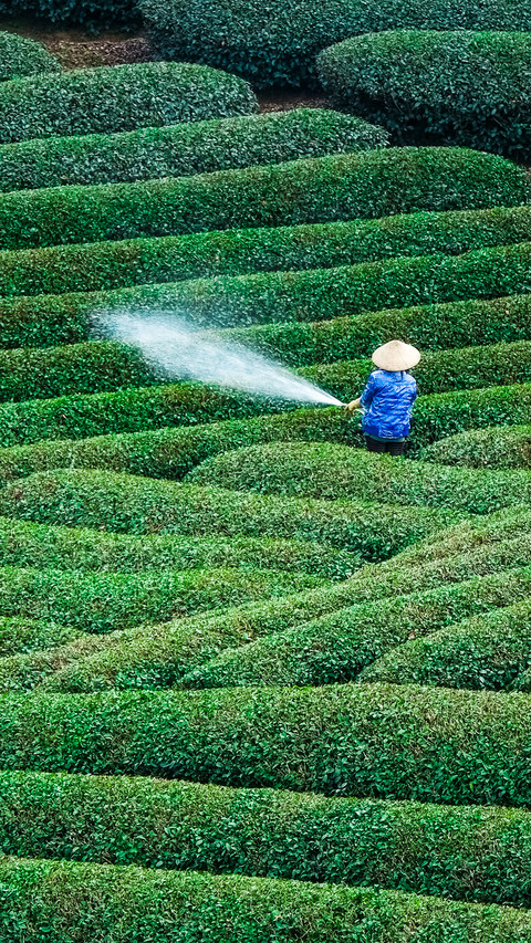 Working in the fields screenshot