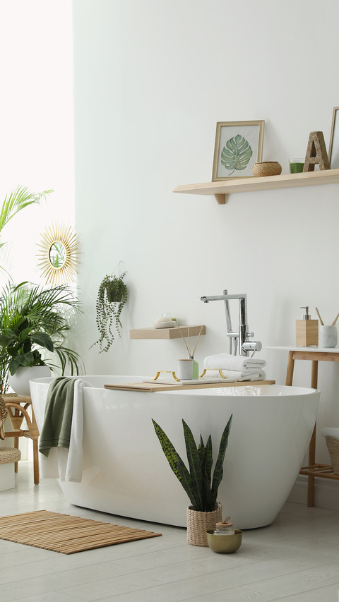 Bathroom with Modern Tub, Houseplants and Beautiful Decor screenshot