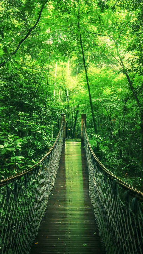Rainy day at yunqi bamboo path screenshot