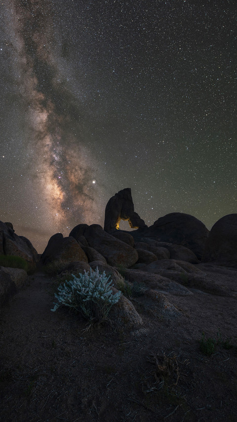 Milky Way Galaxy behind Boot Arch with a bush in front screenshot