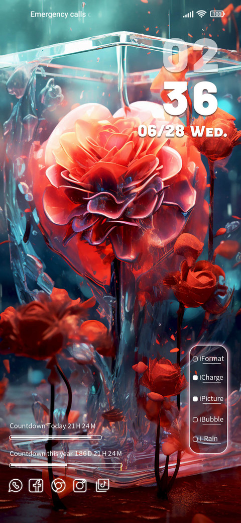 Burning Flowers screenshot