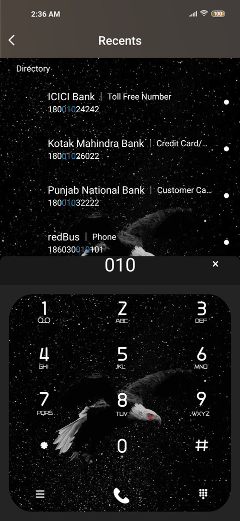 Starry Eagle screenshot