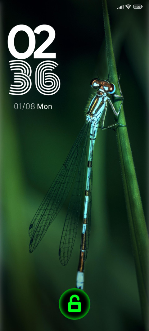 leaves insect screenshot