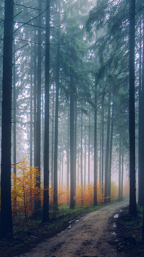 11 screenshot