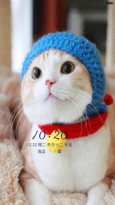萌猫--可爱 screenshot