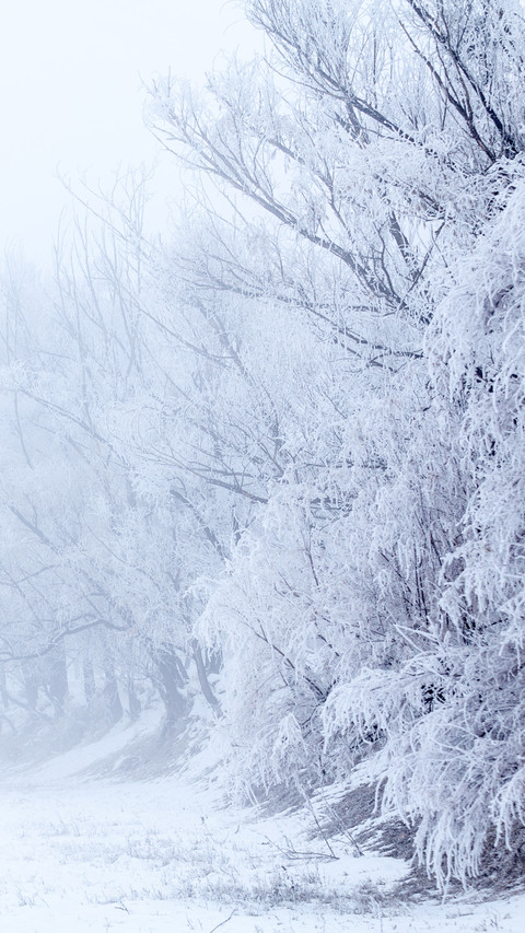 邂逅冬日雪景 screenshot