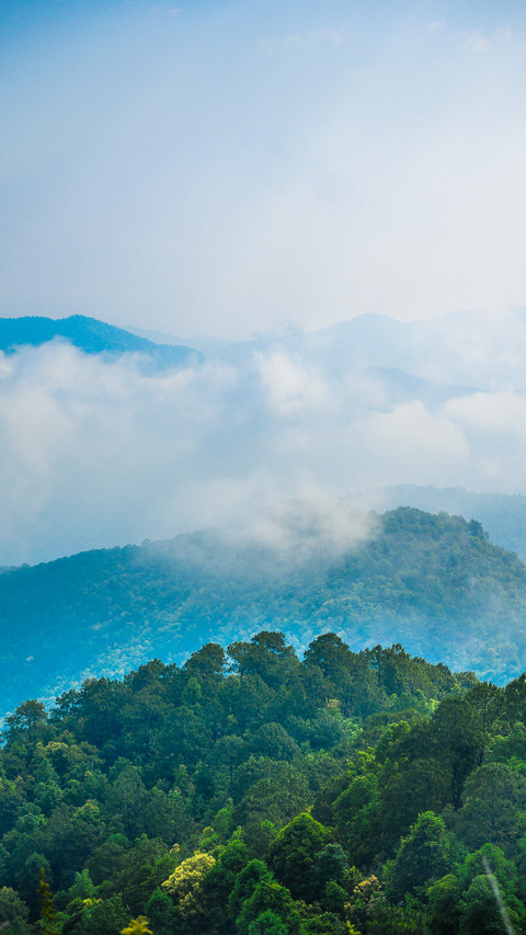 Clouds and mists entwine layer upon layer of green screenshot