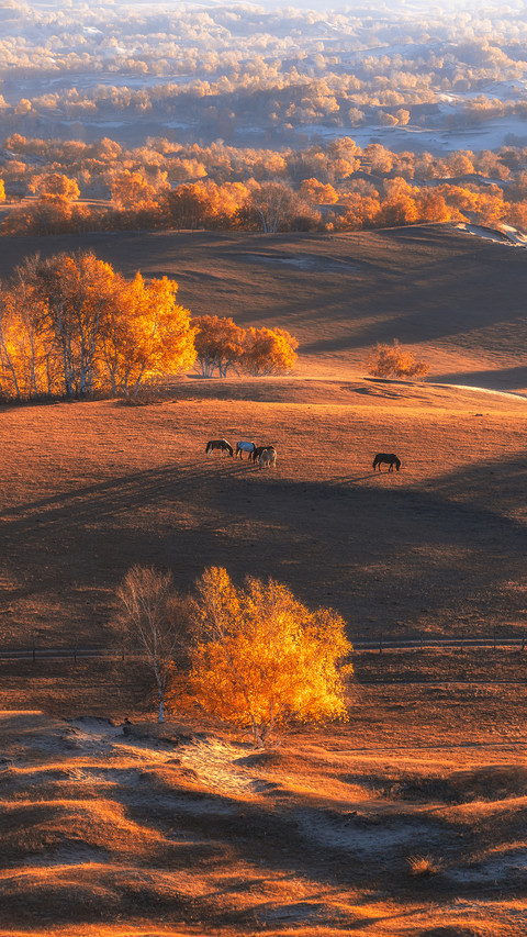 Some colors of autumn 2 screenshot