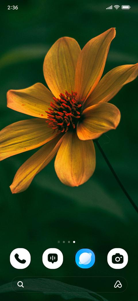 Golden Blossom screenshot