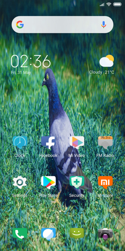 My Pigeon_DWM19 screenshot