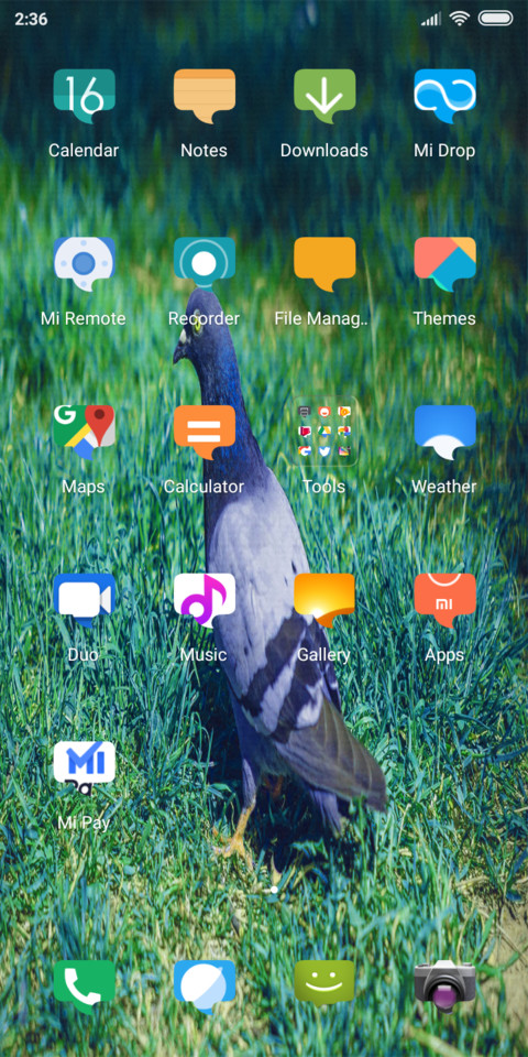 My Pigeon_DWM19 screenshot