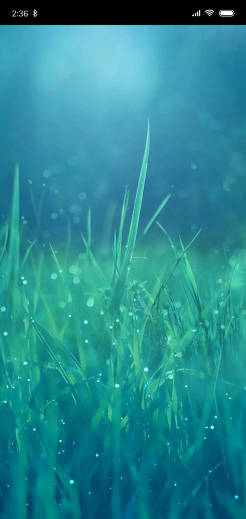 清新护眼 screenshot