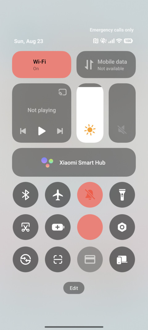 Pup Fruit Pudding screenshot