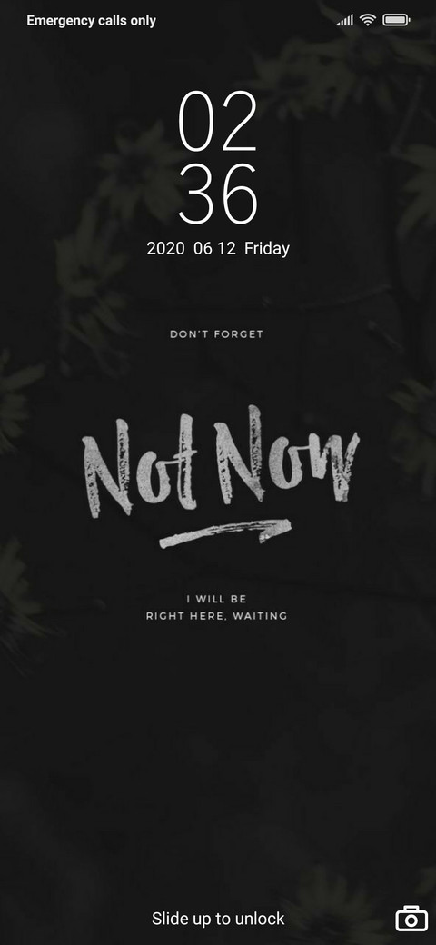 Night Flower v10. screenshot