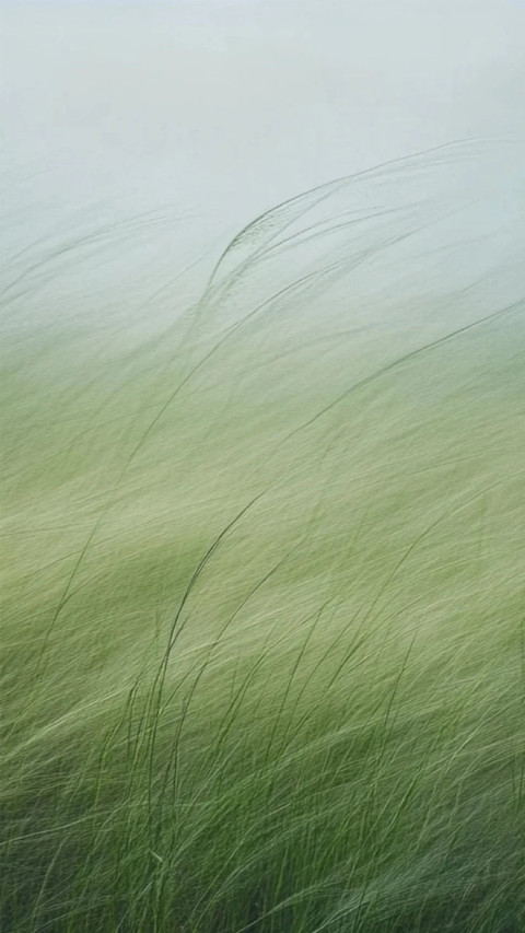 Letter from the Wind screenshot