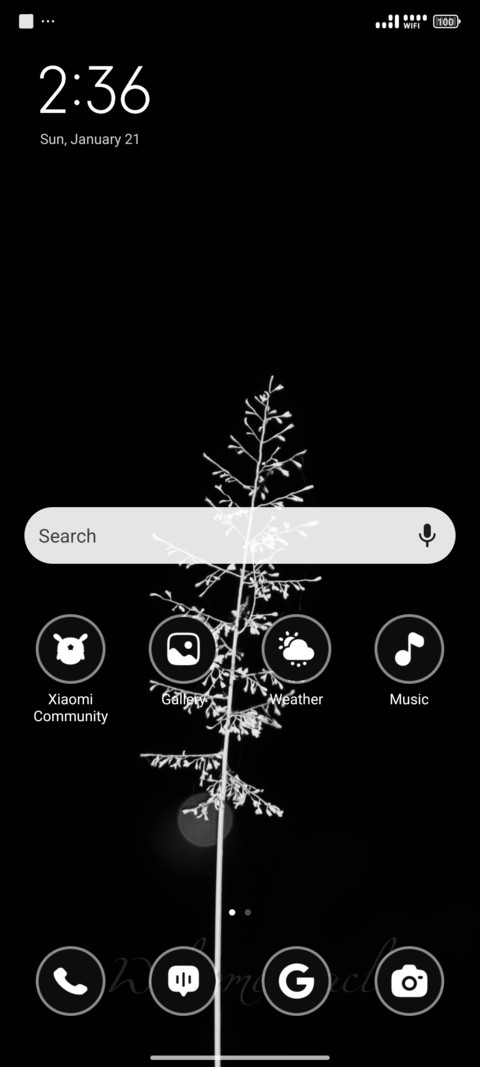 White Flower screenshot