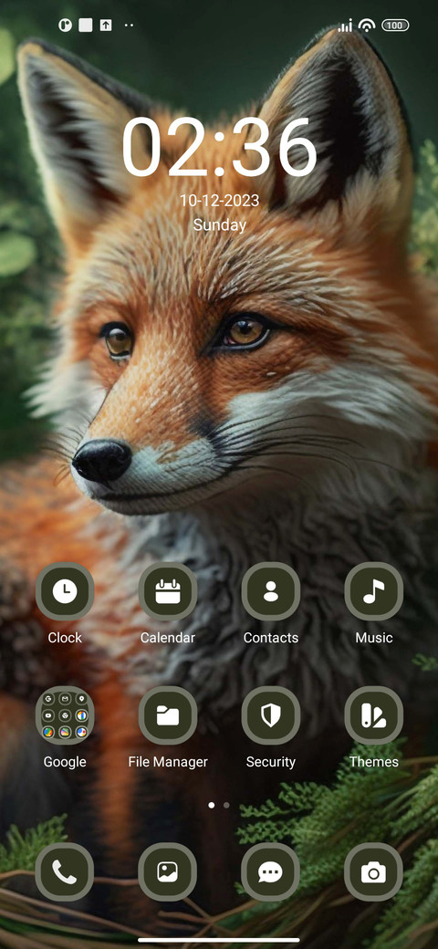 Foxy Grove screenshot