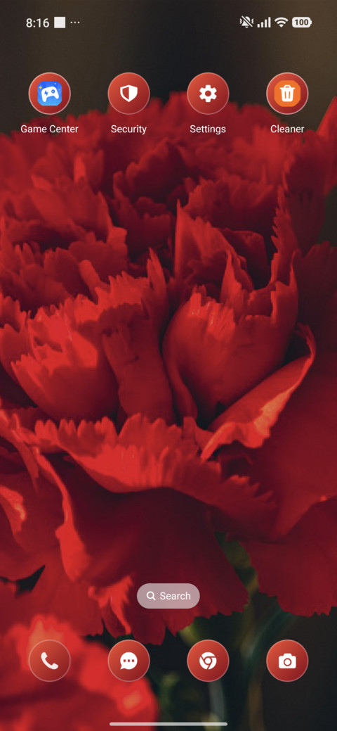 Carnations screenshot