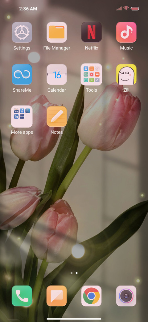Pink tulip screenshot