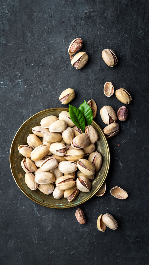 Nuts are s08 screenshot