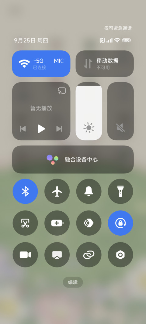 春日露营小狗 screenshot