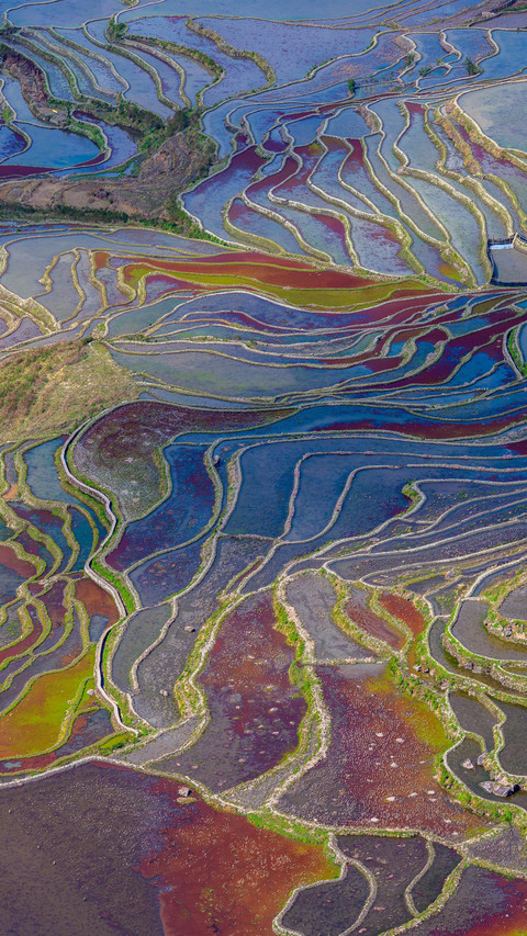 The light and shadow over the Yuanyang rice terraces are pic screenshot