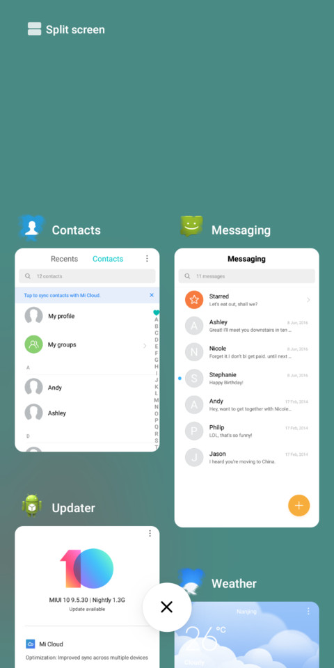 Flamingo_DWM19 screenshot