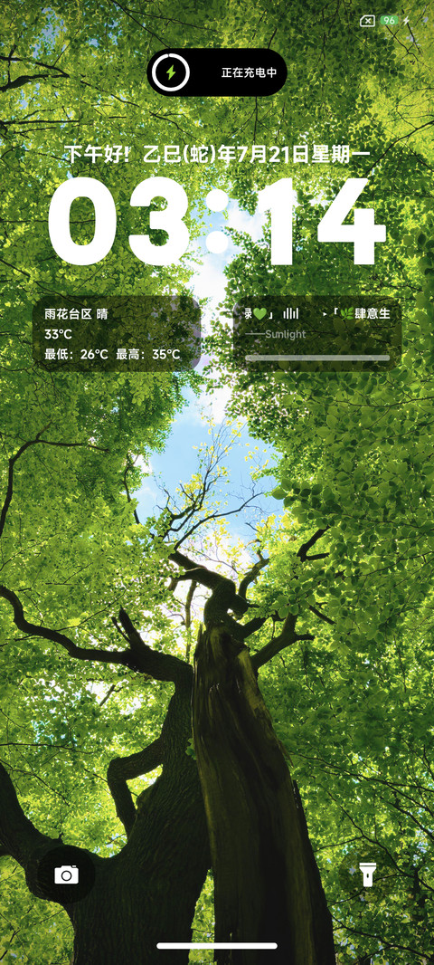 翠绿护眼夏天 screenshot