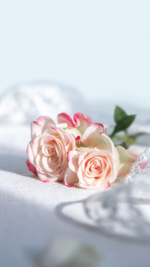Refractive Bubble Rose screenshot