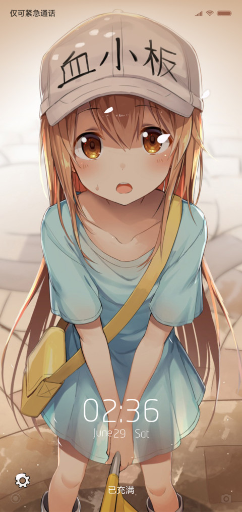血小板 S screenshot