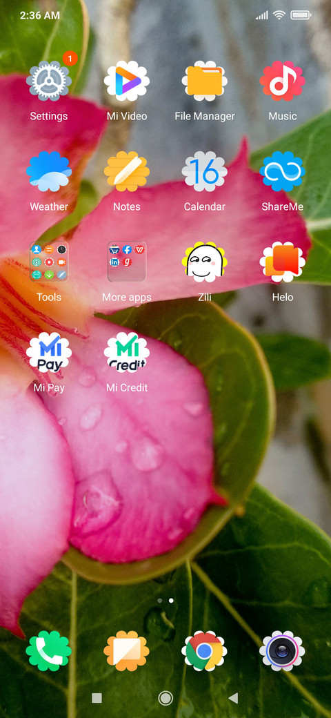 Natural Flower_DWM2 screenshot