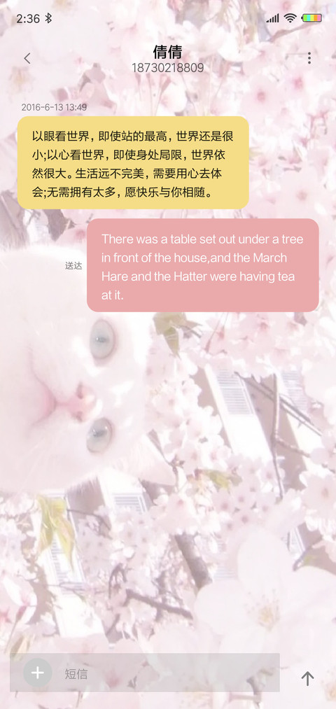 4多壁纸花开烂漫时 screenshot
