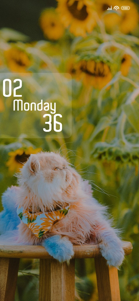 Furry cat screenshot